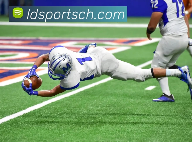 多媒体互动体验