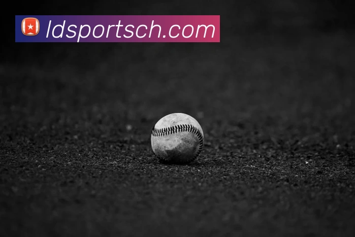 乐动体育APP 体育赛事宣传图